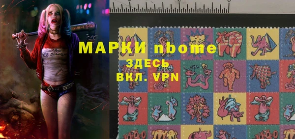 молекула духа Арсеньев
