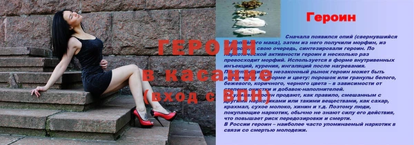 молекула духа Арсеньев