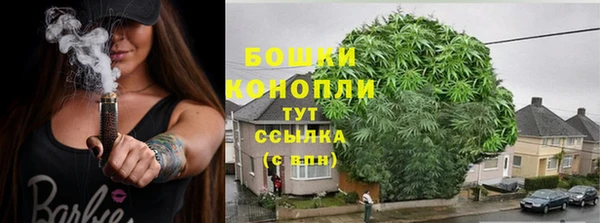 амф Осинники