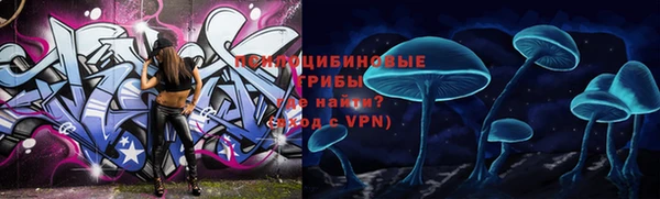 молекула духа Арсеньев